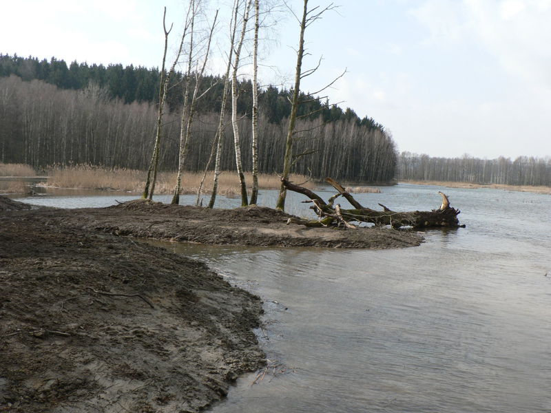 Revitalizace rybníků v přírodní rezervaci Meandry Smědé