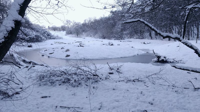 Mokřady v CHKO Český kras v zimě