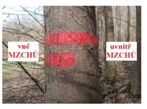 Pruhové značení hranic na sloupcích či hraničních stromech.