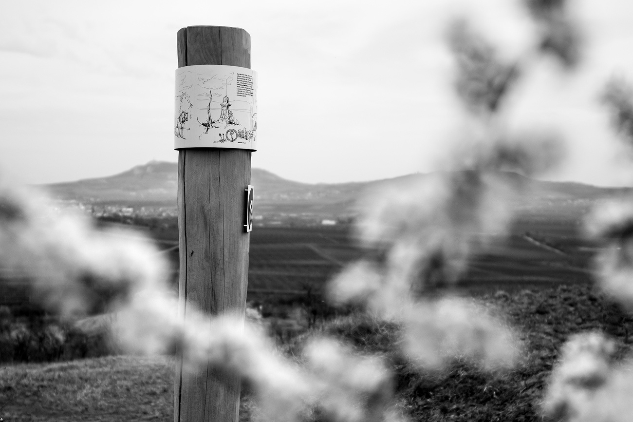 Panel naučné stezky.