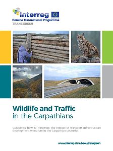 Wildlife and Traffic in the Carpathians
