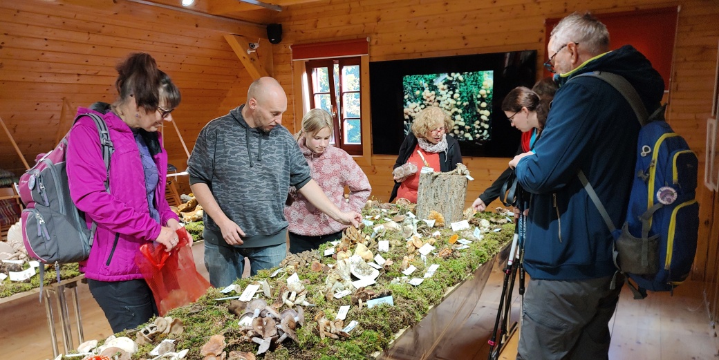Výstava hub s účastníky.