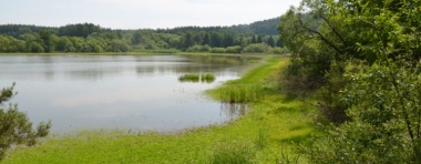Vycházka za Naturou k Býkovickým rybníkům