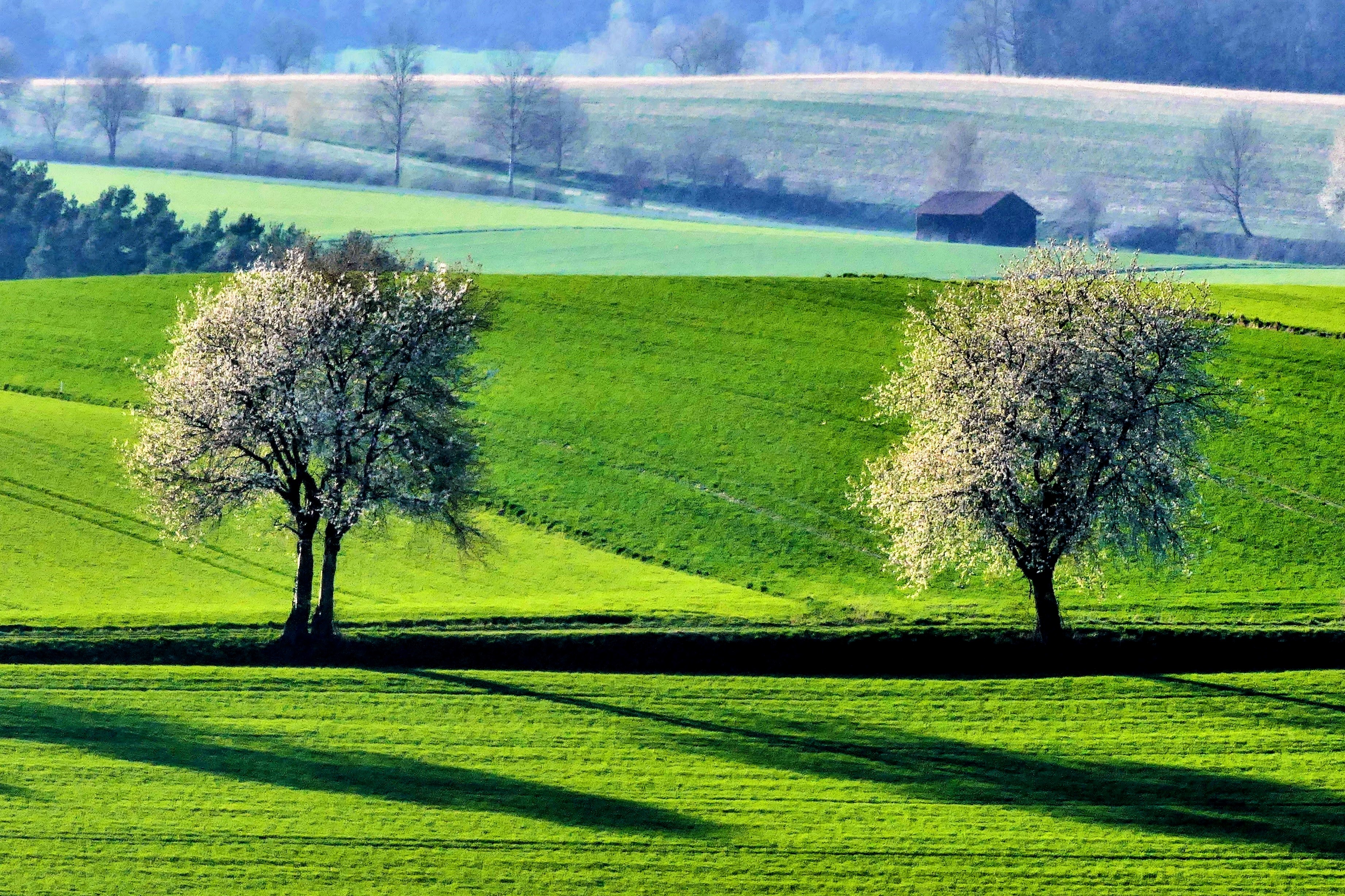 10. místo Annemarie Sander_Böhmischer und Oberpfälzer Wald