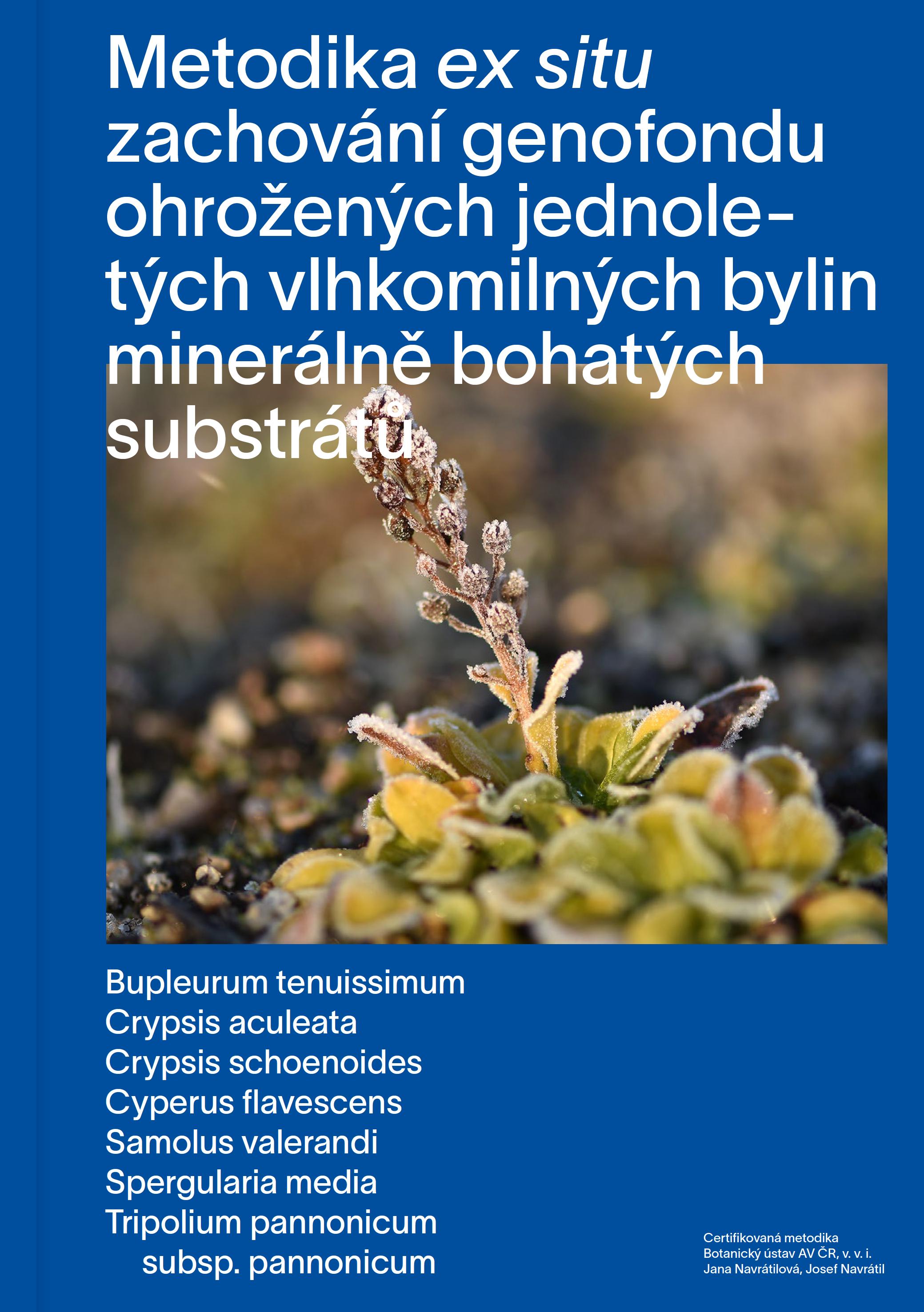 Metodika ex situ zachování genofondu ohrožených jednoletých vlhkomilných bylin minerálně bohatých substrátů